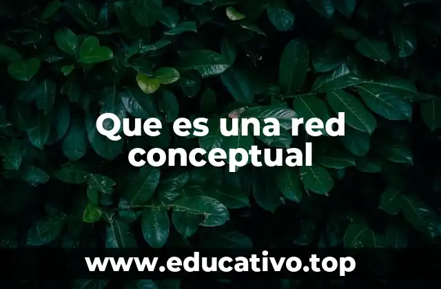 Que es una red conceptual