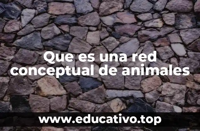 Que es una red conceptual de animales