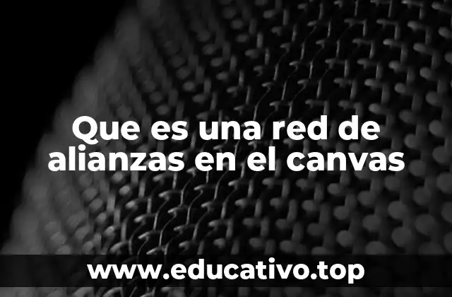 Que es una red de alianzas en el canvas