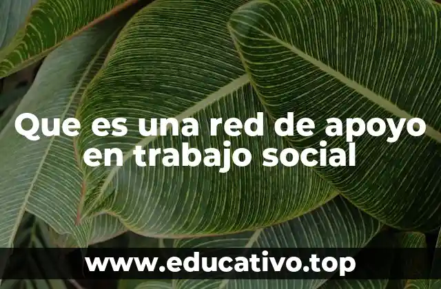 Que es una red de apoyo en trabajo social