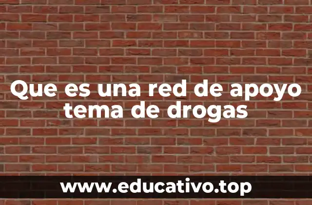 Que es una red de apoyo tema de drogas