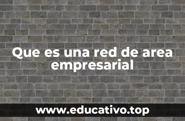 Que es una red de area empresarial