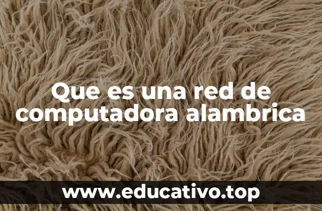 Que es una red de computadora alambrica
