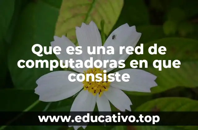Que es una red de computadoras en que consiste
