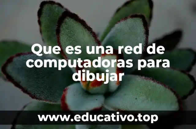 Que es una red de computadoras para dibujar