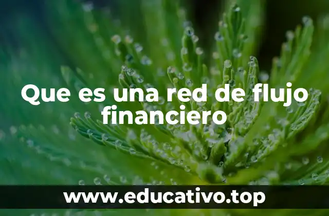 Que es una red de flujo financiero