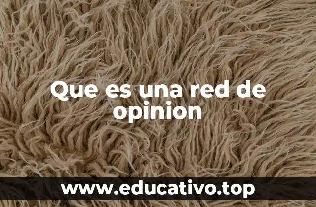 Cómo las redes de opinión moldean la percepción social