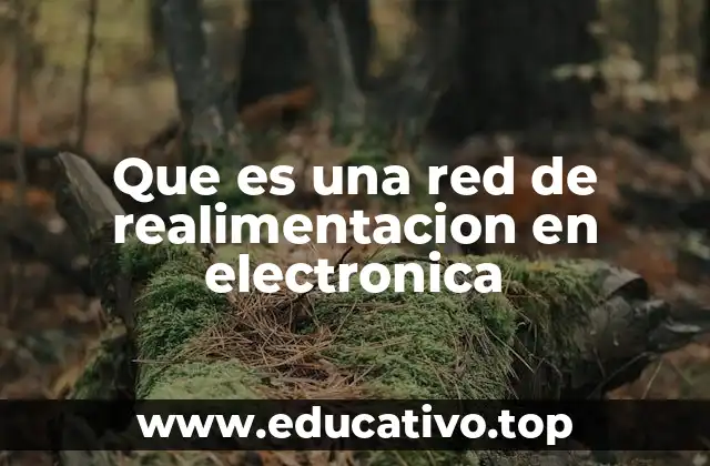 Que es una red de realimentacion en electronica