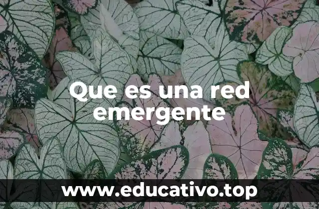 Que es una red emergente