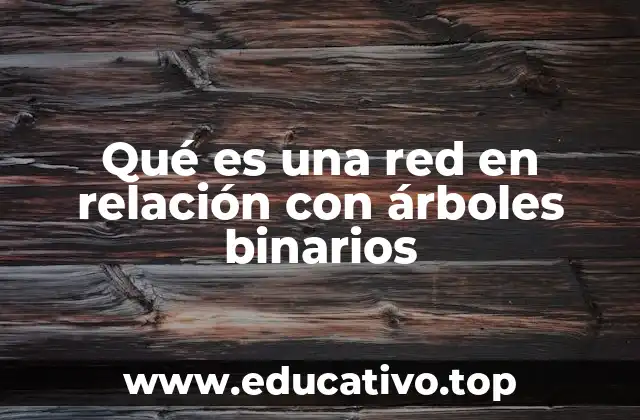 Qué es una red en relación con árboles binarios