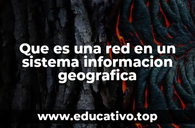 Que es una red en un sistema informacion geografica