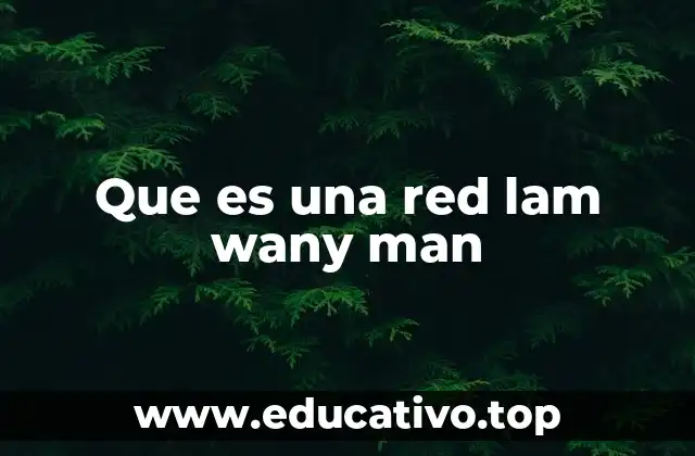 Que es una red lam wany man