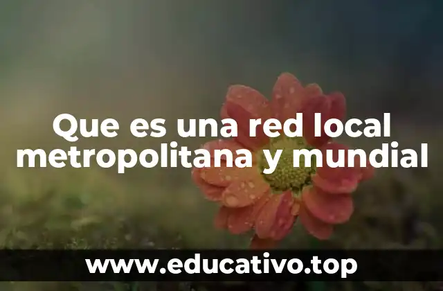 Que es una red local metropolitana y mundial