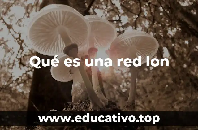 Qué es una red lon