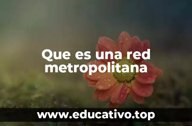 La importancia de las redes metropolitanas en la conectividad urbana