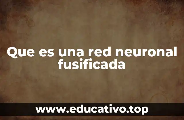 Que es una red neuronal fusificada