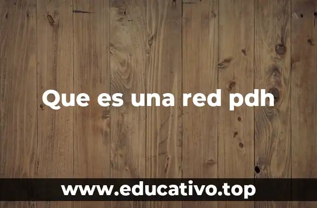 Que es una red pdh