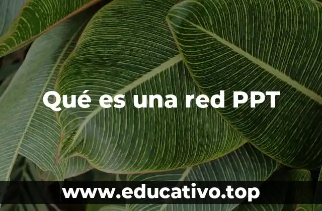 Qué es una red PPT