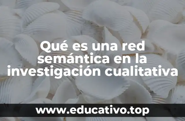 Qué es una red semántica en la investigación cualitativa