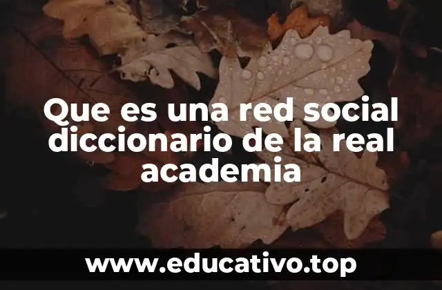 Que es una red social diccionario de la real academia