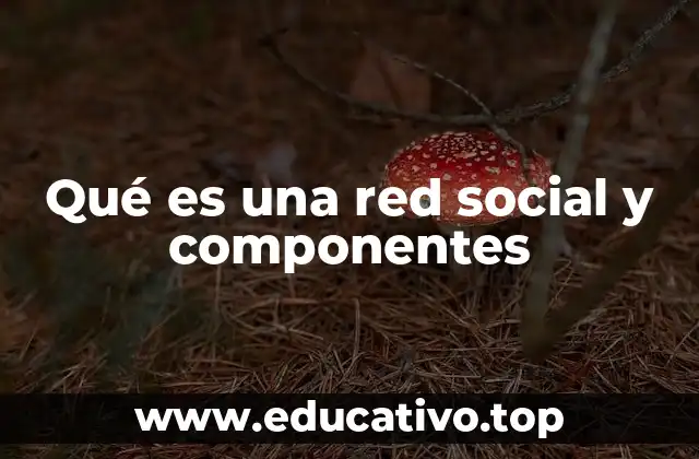 Qué es una red social y componentes