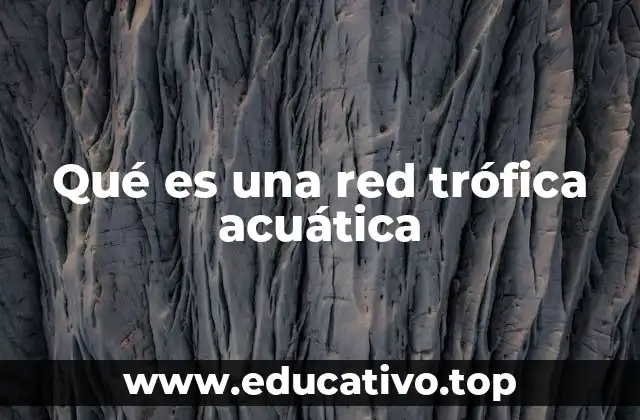 Qué es una red trófica acuática