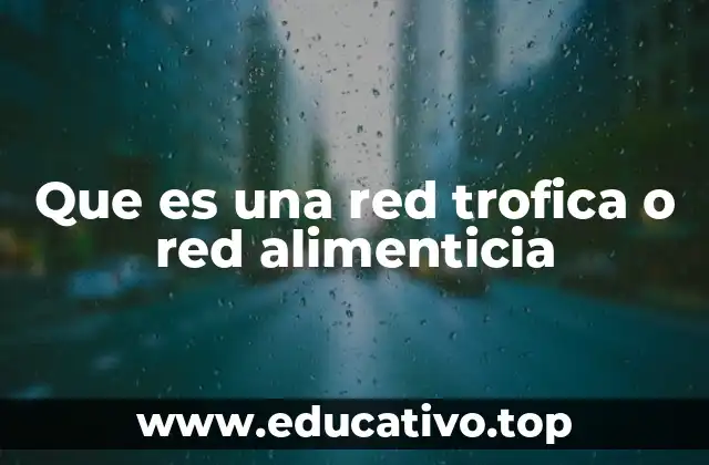 Que es una red trofica o red alimenticia