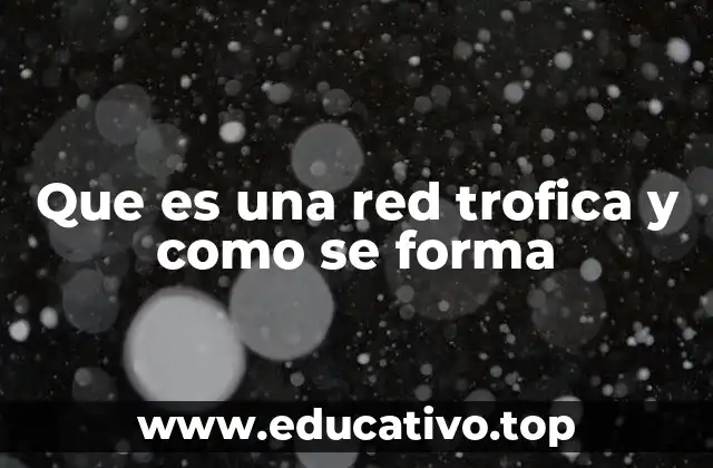 Que es una red trofica y como se forma