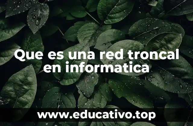 Que es una red troncal en informatica