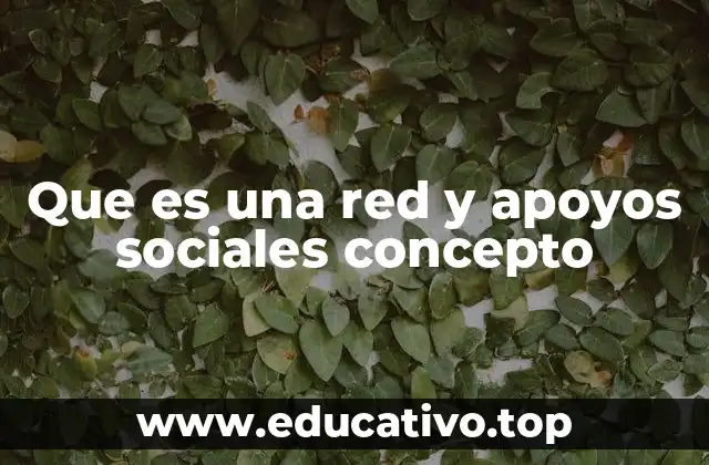 Que es una red y apoyos sociales concepto