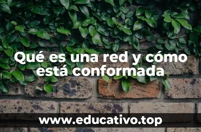 Qué es una red y cómo está conformada