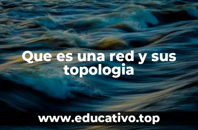 Que es una red y sus topologia