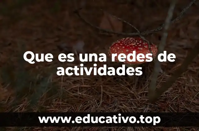 Que es una redes de actividades