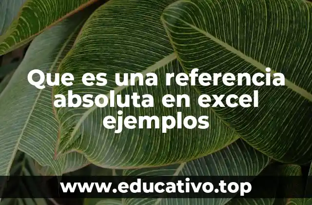Que es una referencia absoluta en excel ejemplos