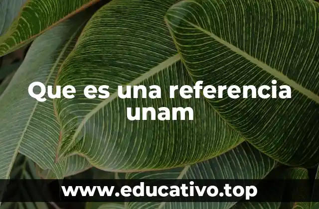 Que es una referencia unam