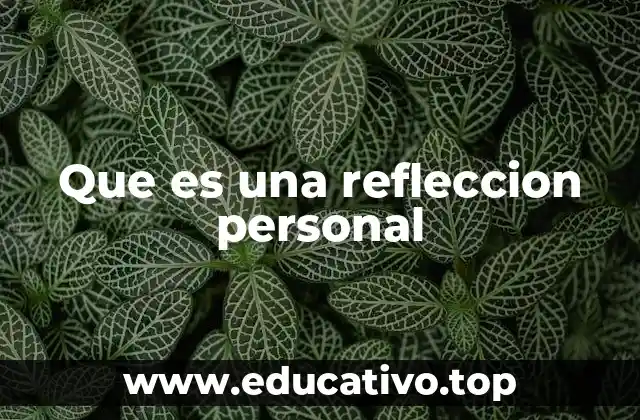 Que es una refleccion personal