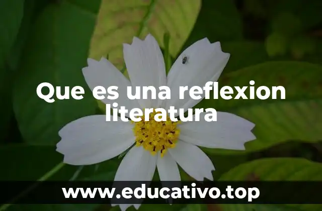 Que es una reflexion literatura