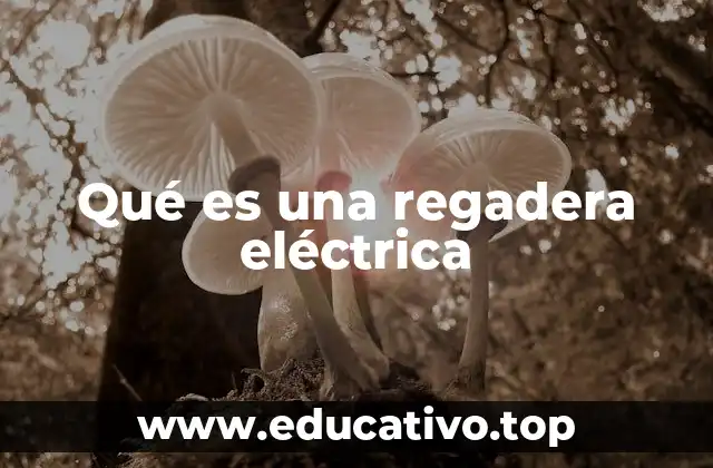 Qué es una regadera eléctrica