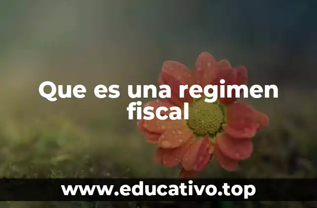 Que es una regimen fiscal