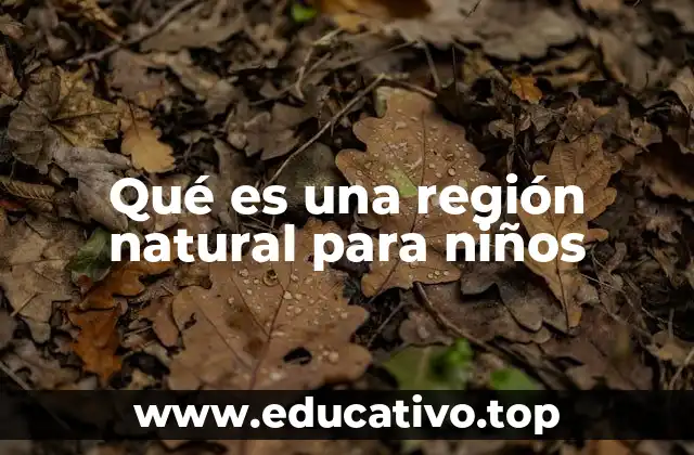 Qué es una región natural para niños