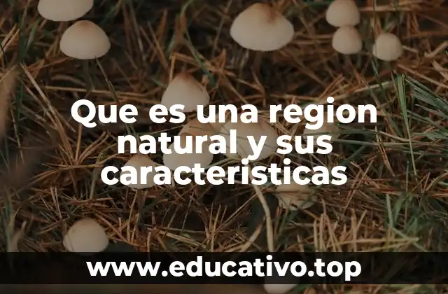 Que es una region natural y sus caracteristicas