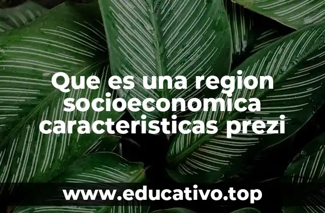 Que es una region socioeconomica caracteristicas prezi