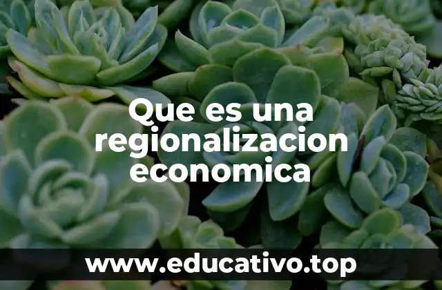 Que es una regionalizacion economica