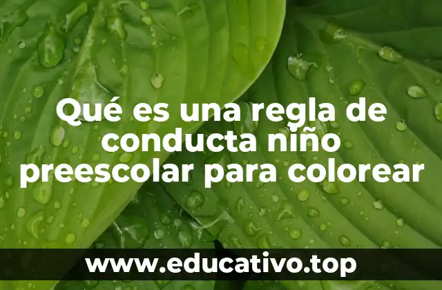 Qué es una regla de conducta niño preescolar para colorear