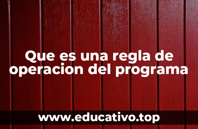 Que es una regla de operacion del programa