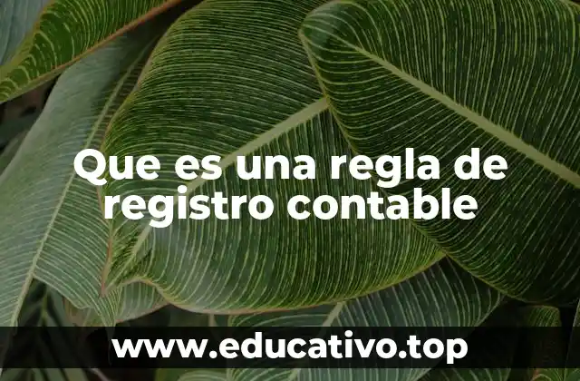Que es una regla de registro contable