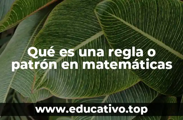 La importancia de identificar reglas y patrones en matemáticas