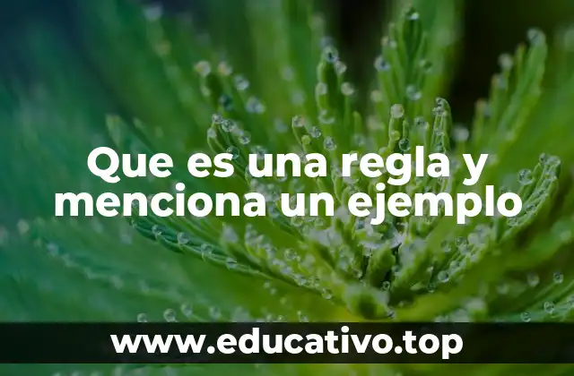 Que es una regla y menciona un ejemplo