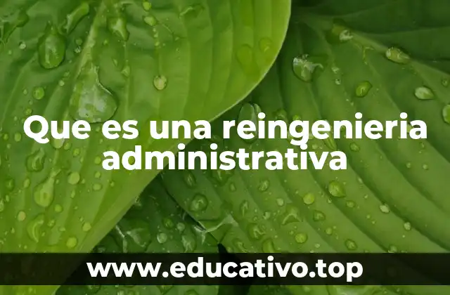 Que es una reingenieria administrativa