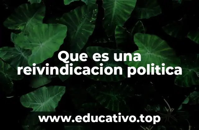 Que es una reivindicacion politica